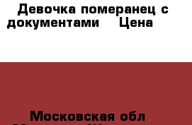 Девочка померанец с документами  › Цена ­ 20 000 - Московская обл., Москва г. Животные и растения » Собаки   . Московская обл.,Москва г.